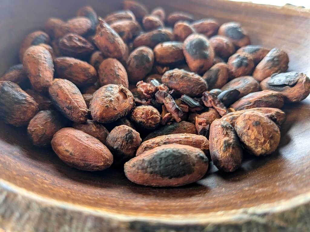 Close-up of cacao seeds being roasted for processing into cacao drinks and chocolate products.