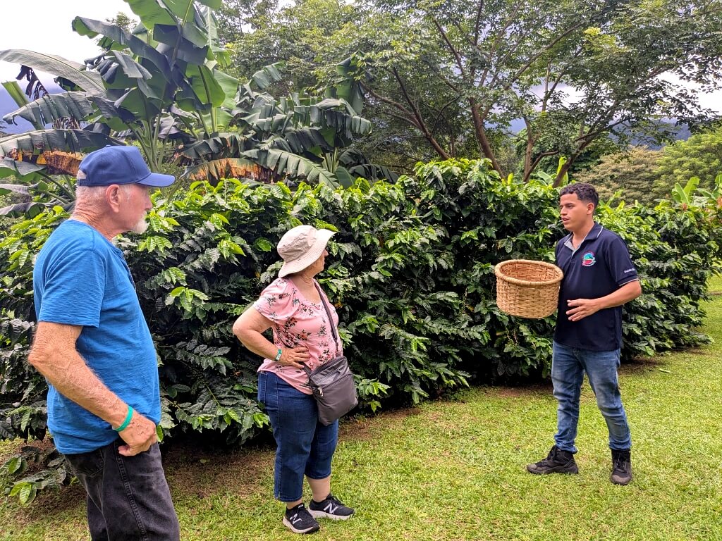 our guide explaining Costa Rican coffee amidst coffee, banana, and cacao trees during a tour with Link Expeditions.