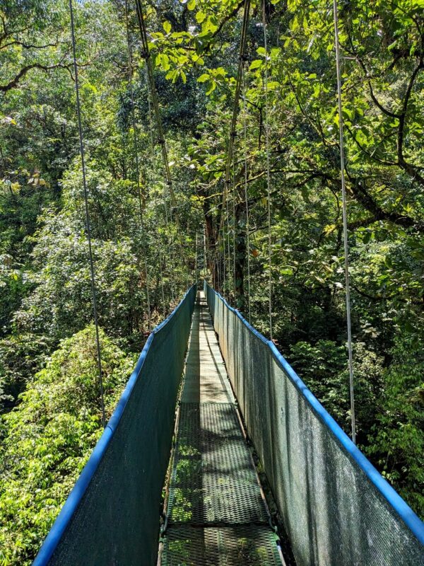 Close-up view of the skinny and long hanging bridges at Heliconias Reserve in Bijagua, Costa Rica.