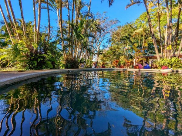 Inviting thermal pool nestled amidst tranquil forest surroundings, offering a serene retreat for relaxation, amidst beautiful gardens and multiple pools.