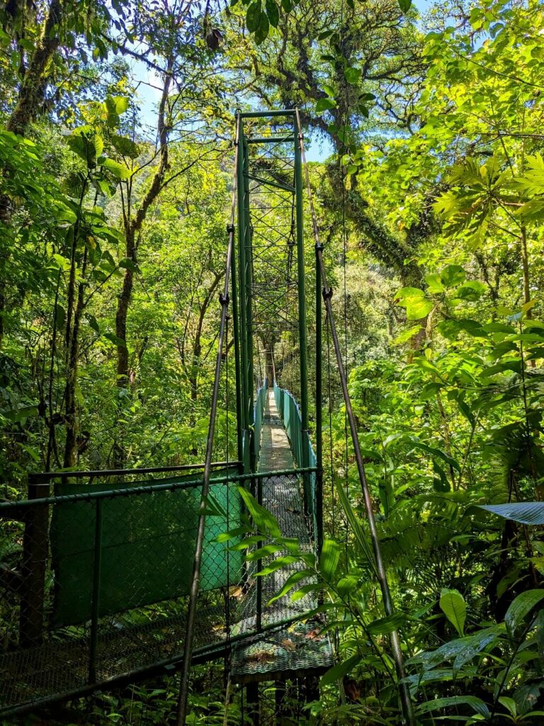Scenic view of slender and elongated hanging bridges within Heliconias Reserve, Bijagua, Costa Rica, a meticulously curated destination by Link Expeditions Costa Rica.