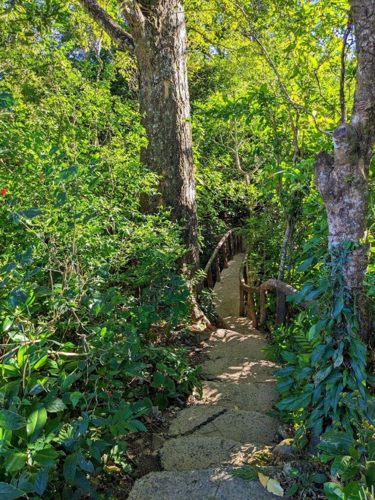 Scenic forest trail connecting thermal pools to mud baths, a hidden gem recommended by Link Expeditions Travel Costa Rica.