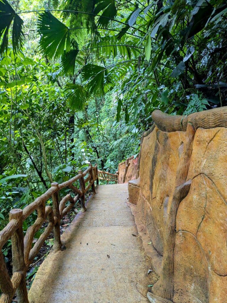 Detail of the concrete steps on the La Fortuna Waterfall trail, with benches for resting along the way.