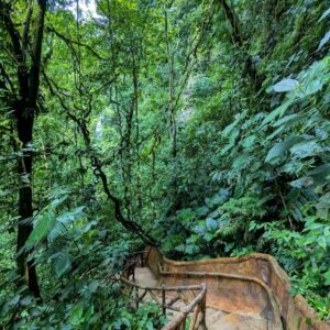 Concrete steps on the La Fortuna Waterfall trail, surrounded by dense rainforest leading to the waterfall."