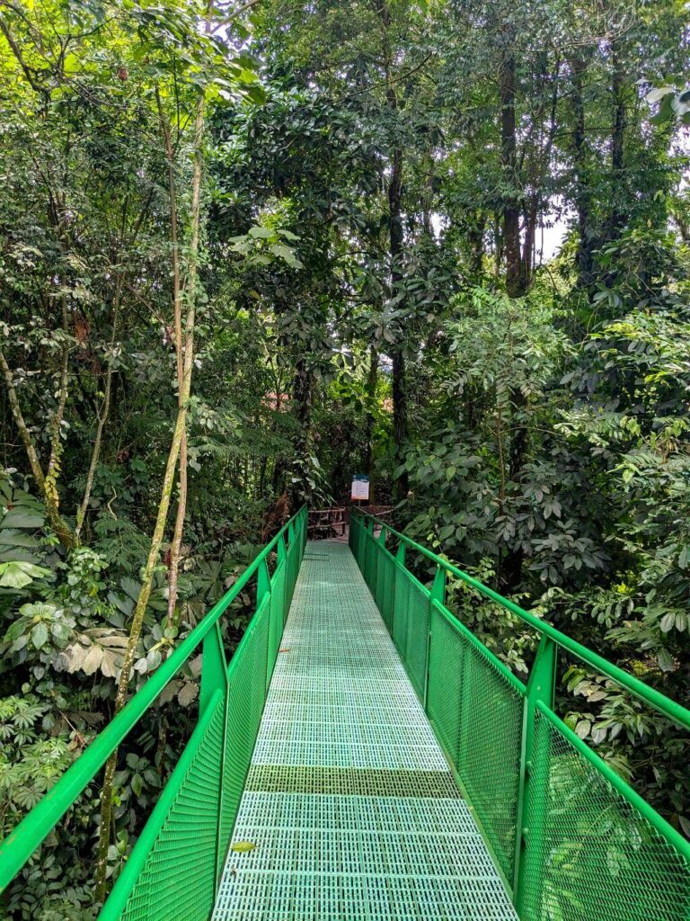 Green metal bridge along the trail to La Fortuna Waterfall, surrounded by rainforest views.