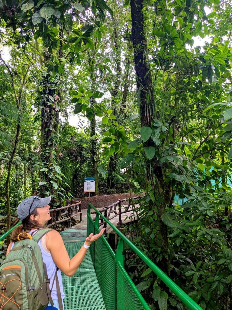 Tourist walking down the trail to La Fortuna Waterfall, featuring bridges and a concrete path that leads to many steps.