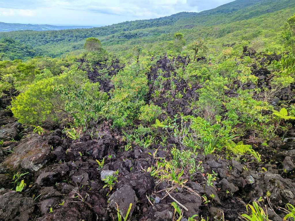 Close-up of solidified lava flows from the 1968 eruption at Arenal Volcano, showcasing the rugged texture and detail of volcanic rock.