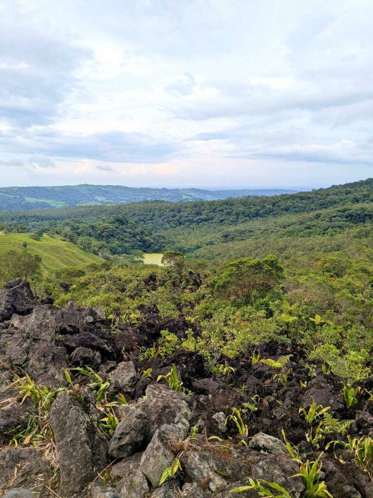 Vertical shot overlooking the lush expanse near Arenal Volcano, with verdant mountains and a green lagoon, framed by newly sprouted vegetation on old lava beds.