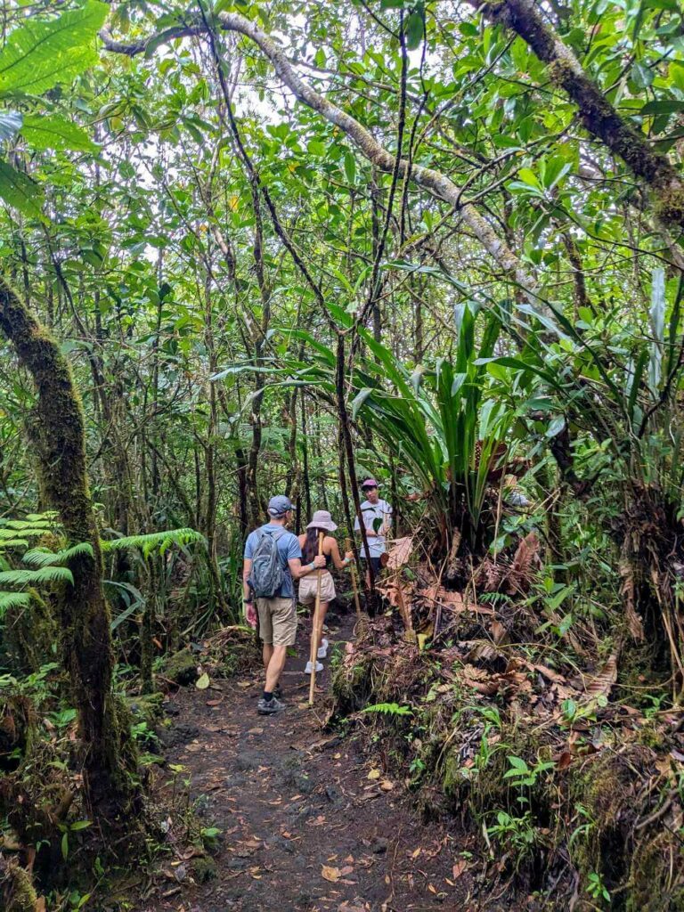 Here’s the content for the image of people walking the trails near Arenal Volcano: Alternative Text: People walking along trails near Arenal Volcano, surrounded by lush tropical plants enhancing the hiking experience.