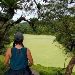 Traveler sitting on a rock, overlooking a green lagoon surrounded by rainforest on a peaceful morning.