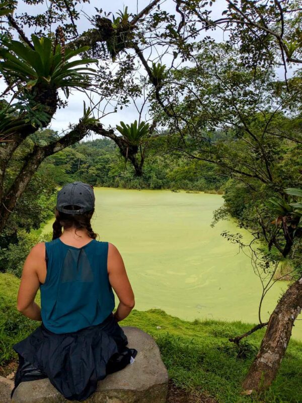 Traveler sitting on a rock, overlooking a green lagoon surrounded by rainforest on a peaceful morning.