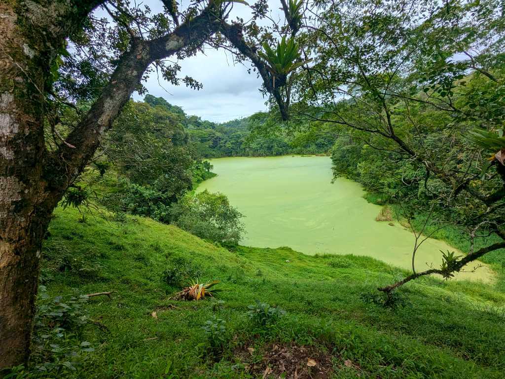 Green lagoon surrounded by lush rainforest and verdant pastures near Arenal Volcano.