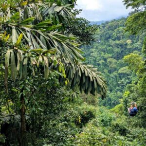 Person ziplining across a deep canyon with a distant platform in a lush rainforest setting.