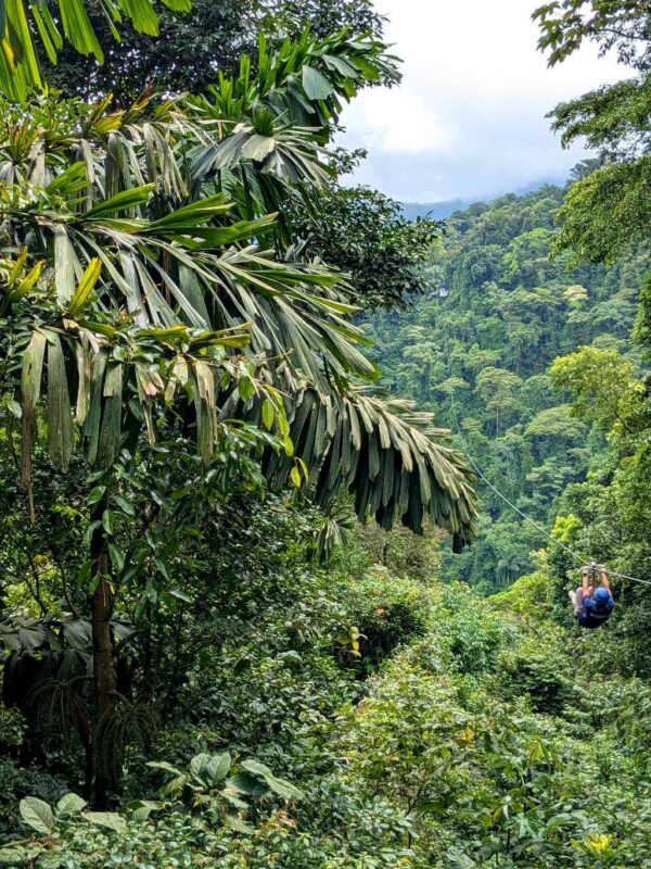 Person ziplining across a deep canyon with a distant platform in a lush rainforest setting.