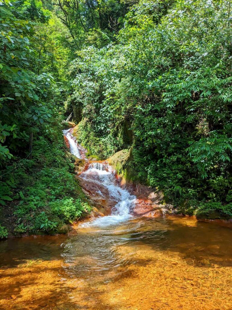 A stream of fresh, clear water flowing down the slopes of Miravalles Volcano, vital to communities at the foothills.