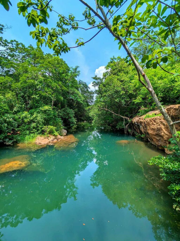 Natural pools at Pozas Las Coyotas, surrounded by peaceful nature at the foothills of Rincón de la Vieja Volcano.