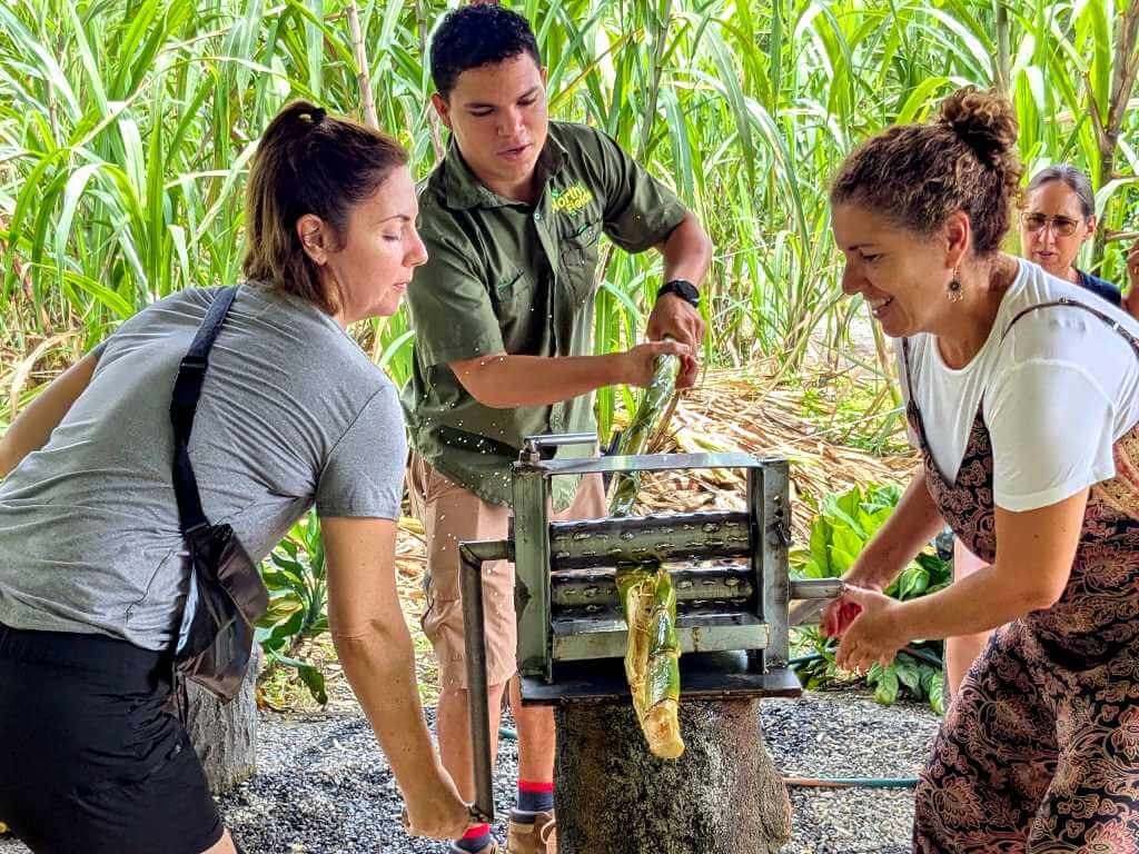 Female travelers grinding sugar cane with a traditional trapiche, guided by a tour guide who explains the process, before tasting fresh juice.