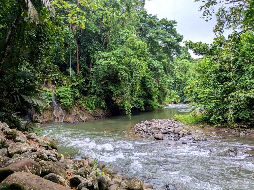 Arenal River with clear green waters, alternating between rapids and calm pools, surrounded by lush rainforest.