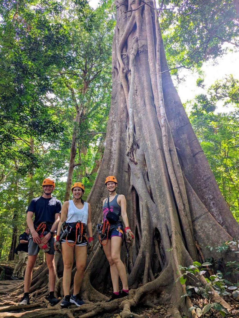 Travelers posing near a tall ficus tree in Reserva Natural El Saíno, ready for the ziplining experience at Buena Vista del Rincón.