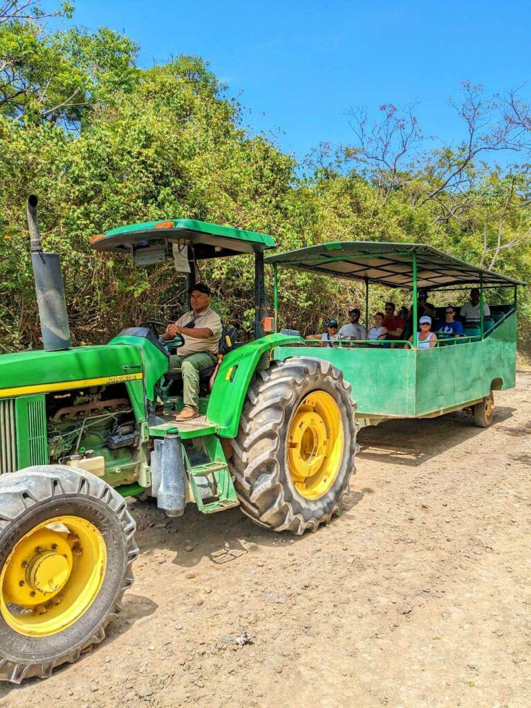 A tractor pulling a wagon with visitors on a sunny day, heading to Pacaya Hot Springs in Buena Vista del Rincón.