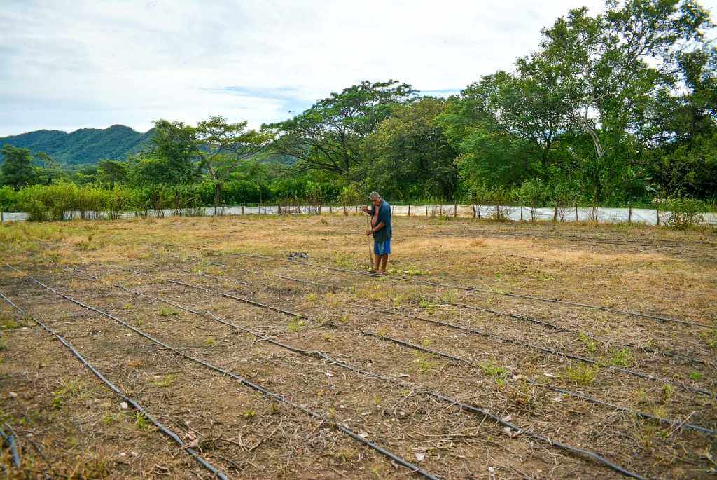 A man carefully planting seeds in a tidy and well-maintained garden plot.