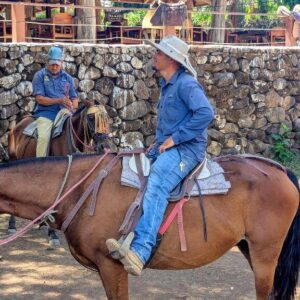 Sabanero Cattle Drive and Guanacaste Fonda Experience